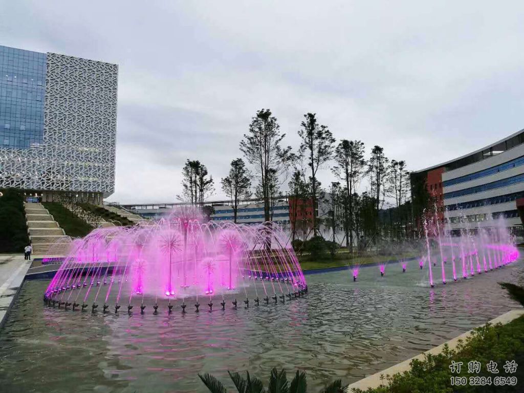 水景花樣噴泉雕塑廠家 娛樂場噴泉裝飾
