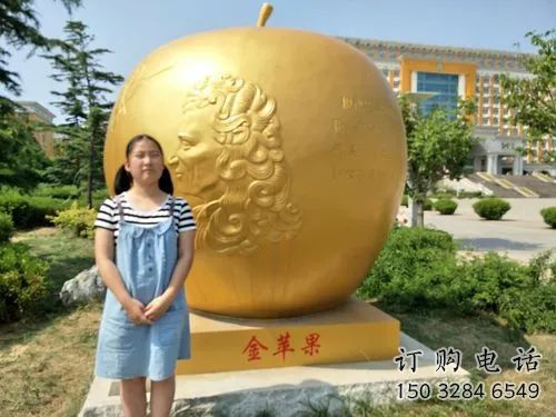 鍍金金蘋果雕塑廠家 廣場(chǎng)擺件 現(xiàn)代不銹鋼金蘋果雕塑廠