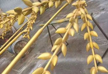 水景水稻雕塑廠 風(fēng)景區(qū)幾何雕塑制作 廣場小品