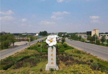杏花雕塑常用，景觀概念，不銹鋼杏花雕塑廠家