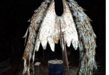 鳥翅雕塑供需，廣場雕塑，不銹鋼鳥翅雕塑定制