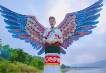 羽翼雕塑精品，白鋼構(gòu)件，不銹鋼羽翼雕塑供求